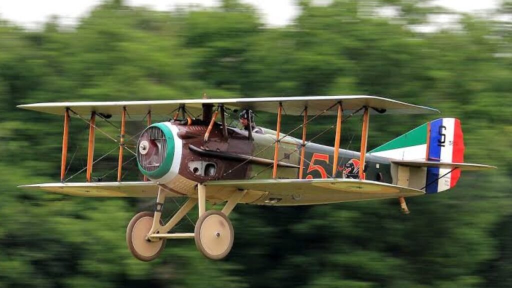 Os aviões usavam as cores de seu regimento, mas também eram decorados de acordo com as preferências do piloto para evitar fogo amigo.