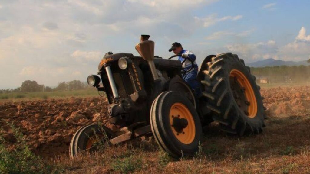 Até hoje há muitos agricultores na Itália que utilizam os tratores Testa Calda no dia-a-dia na roça, sendo por isso que ainda são lembrados pela robustez fora do normal!
